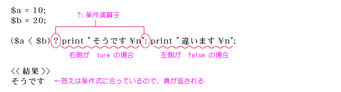 サンプル