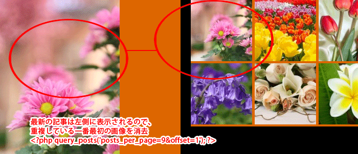 sample