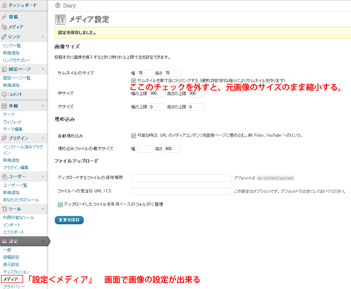 sample