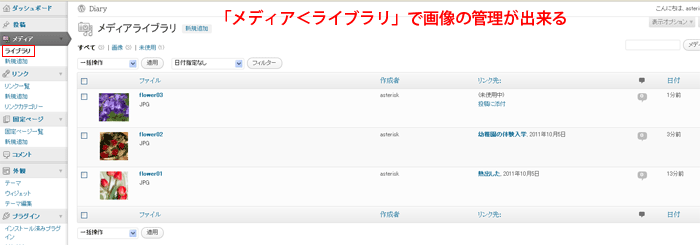 sample
